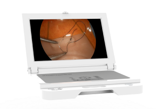 Portable Endoscopy Training System